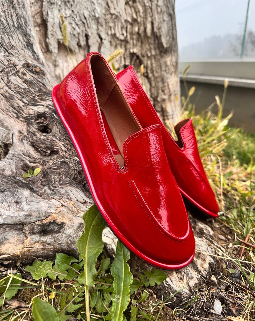 Фото Roberto Serpentini