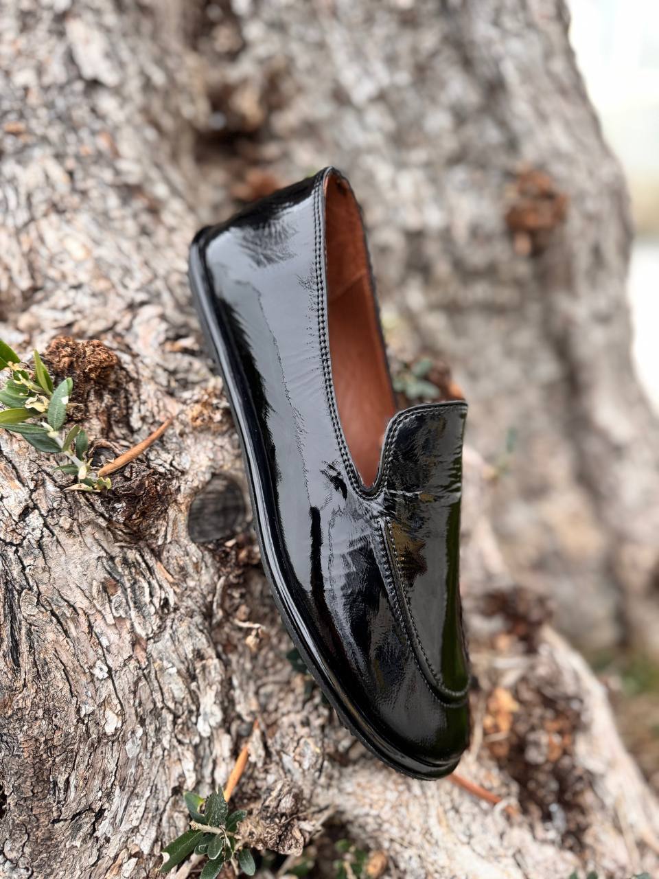 Фото Roberto Serpentini