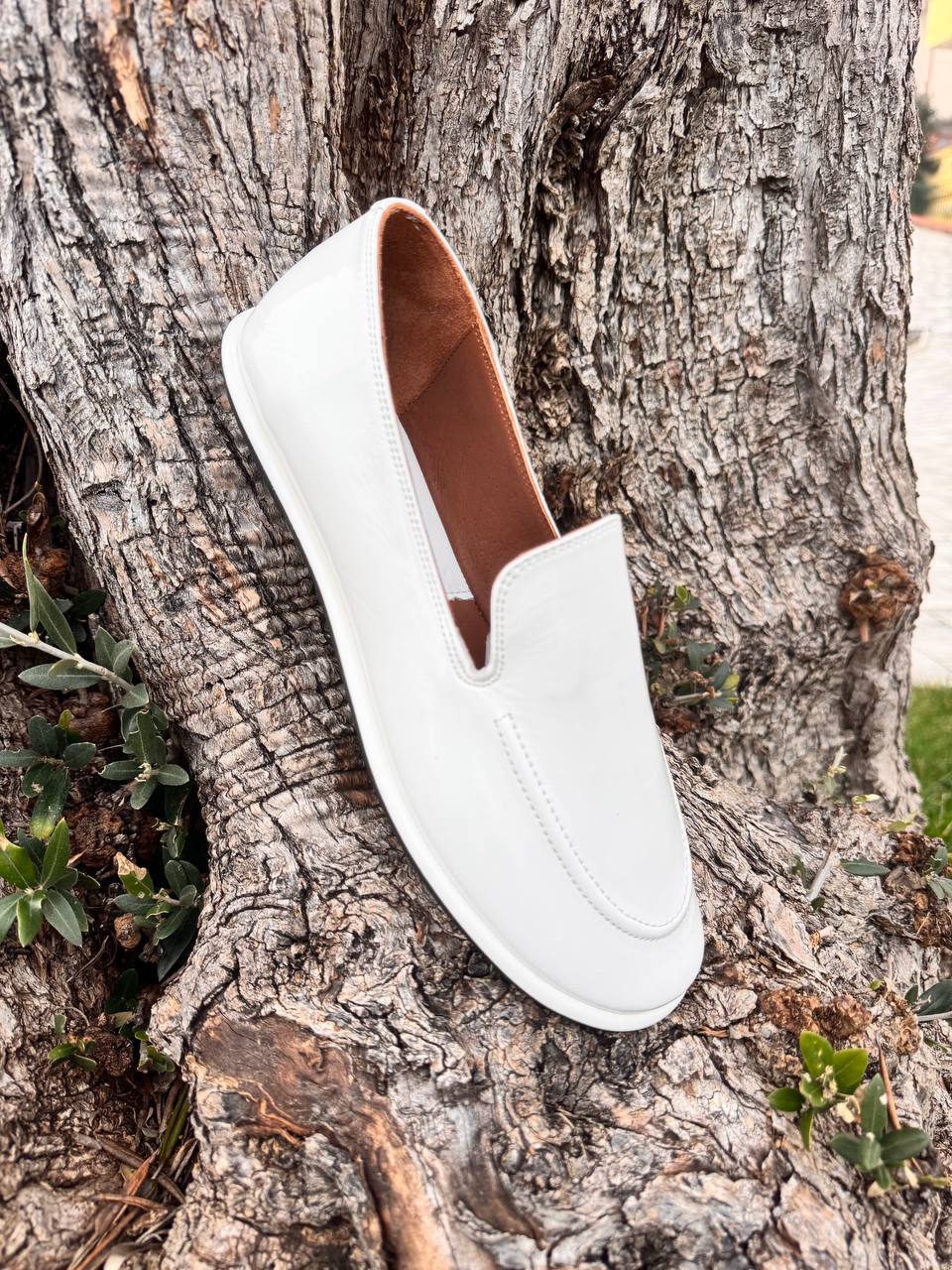 Фото Roberto Serpentini