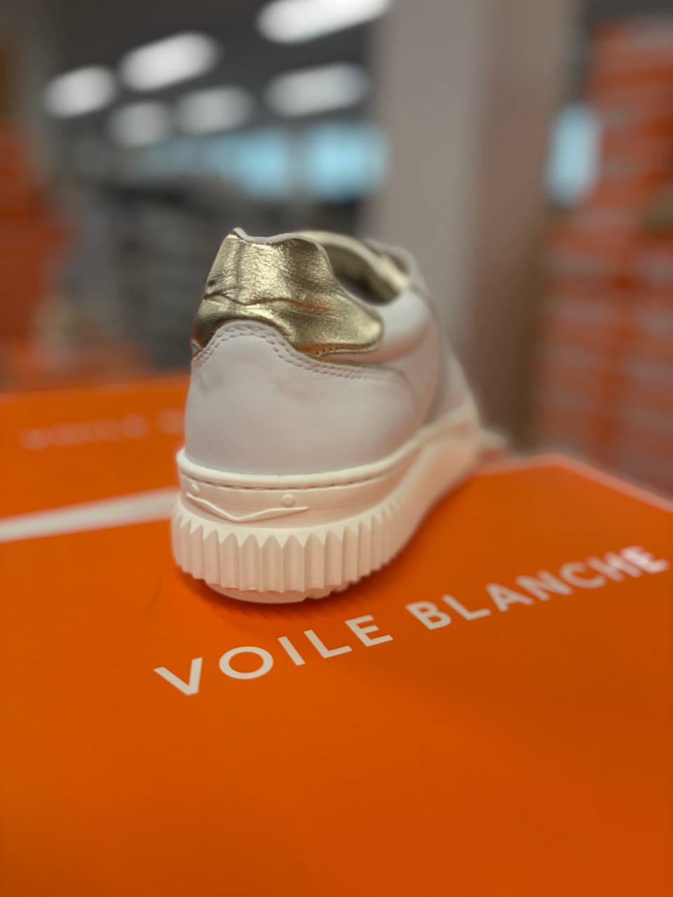 Фото Roberto Serpentini