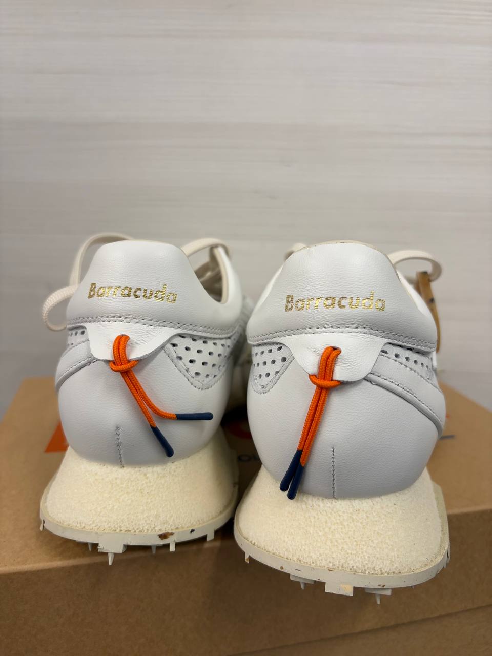 Фото Roberto Serpentini