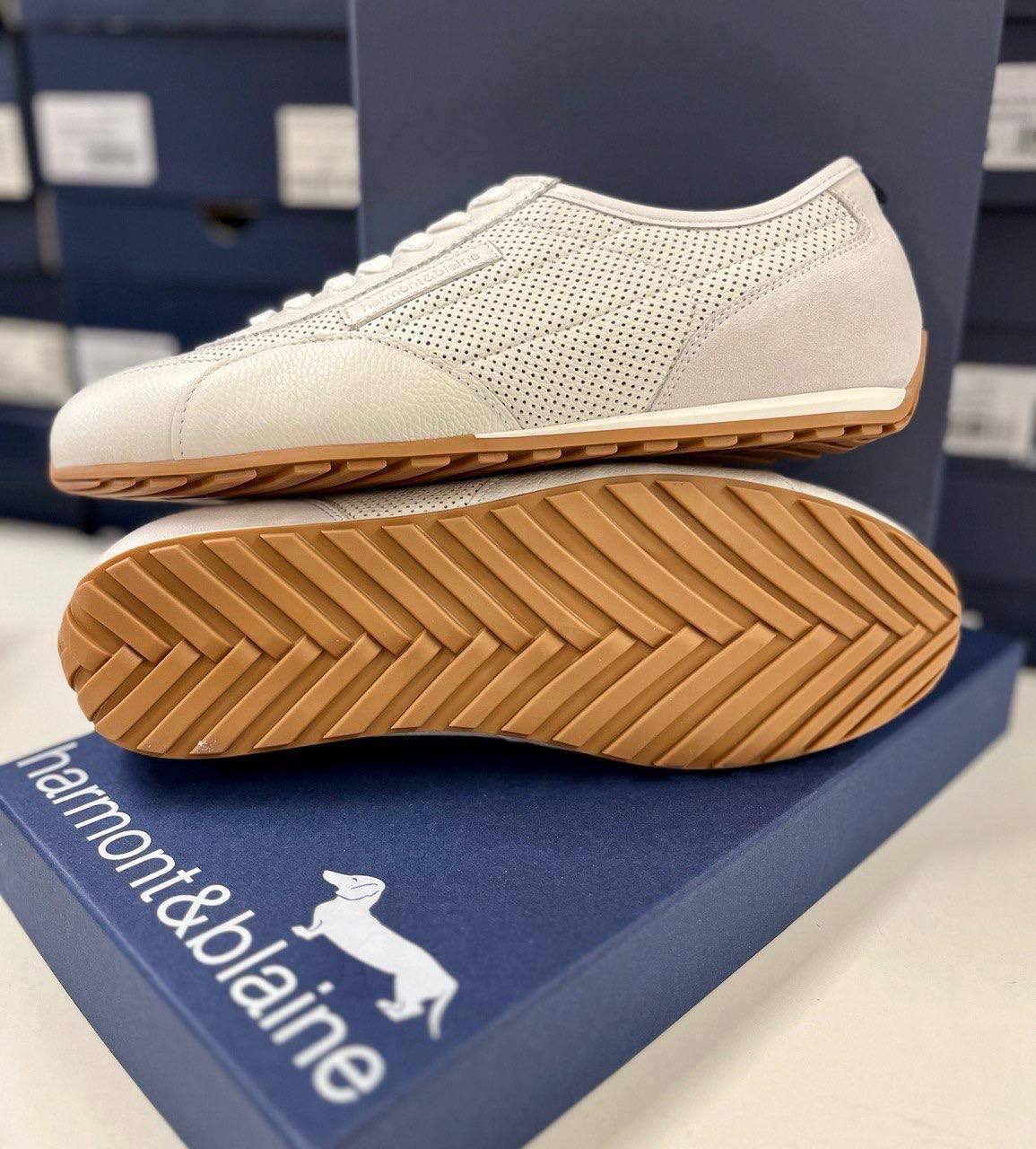 Фото Roberto Serpentini