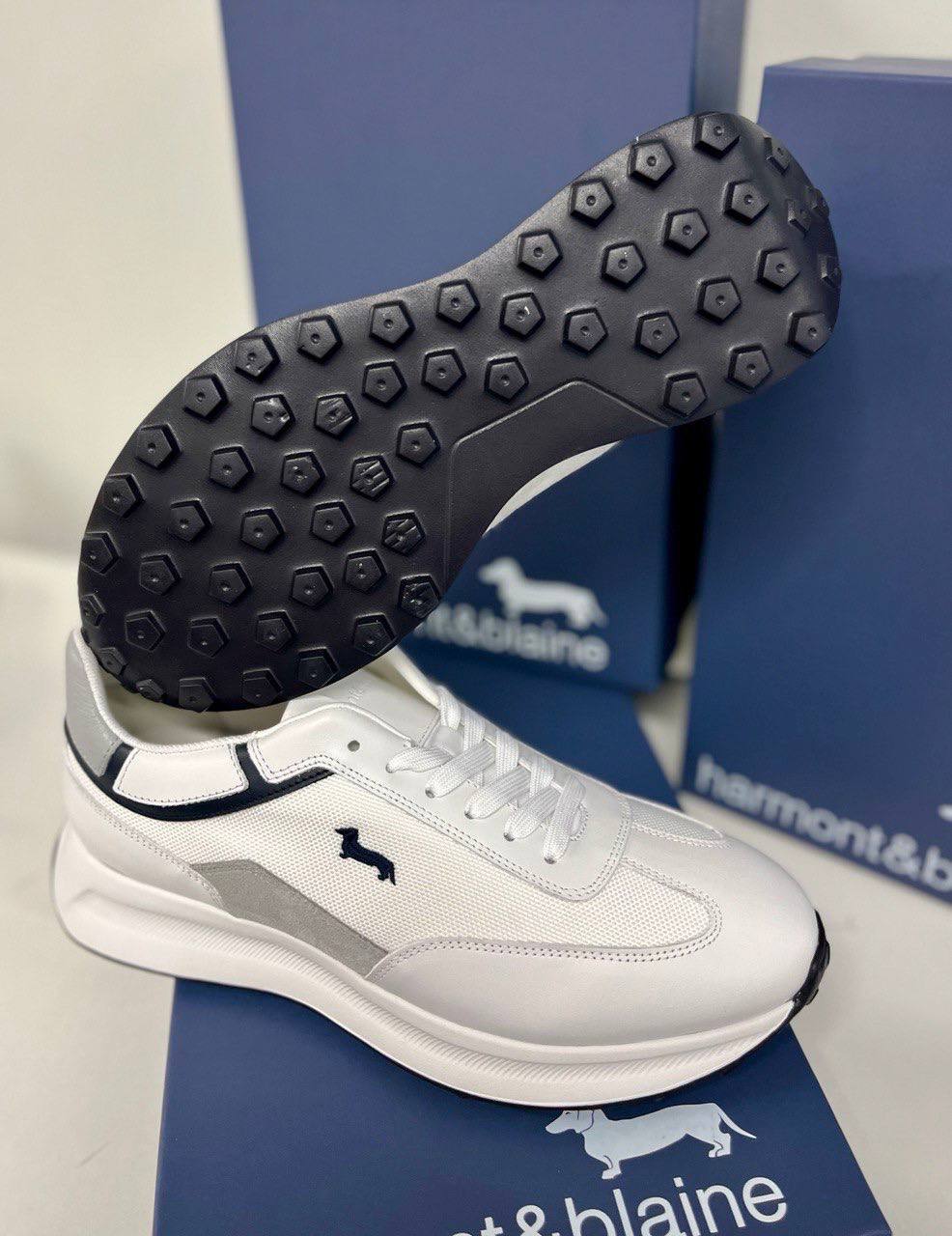 Фото Roberto Serpentini