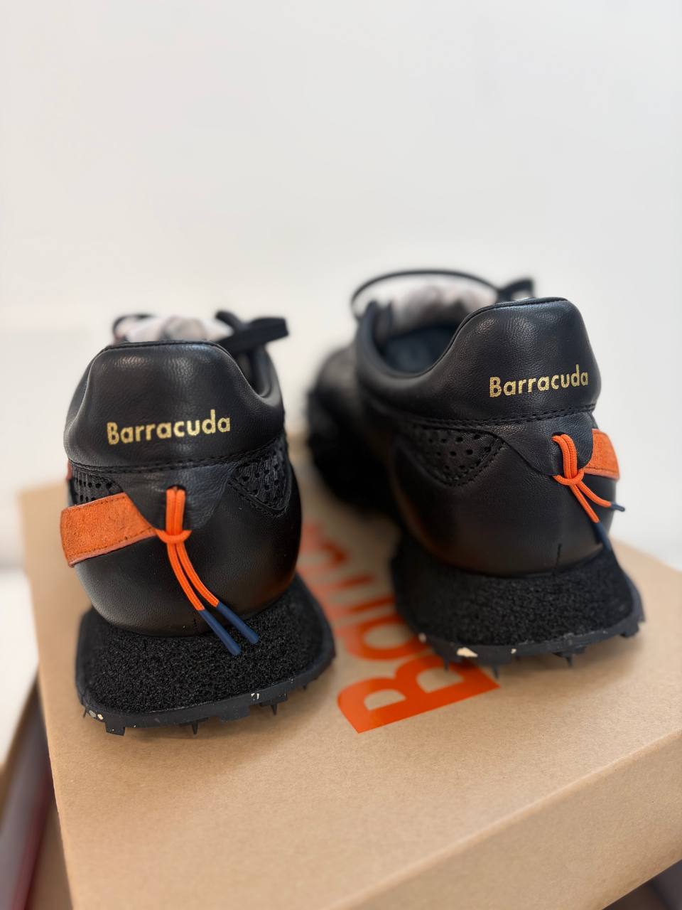 Фото Roberto Serpentini