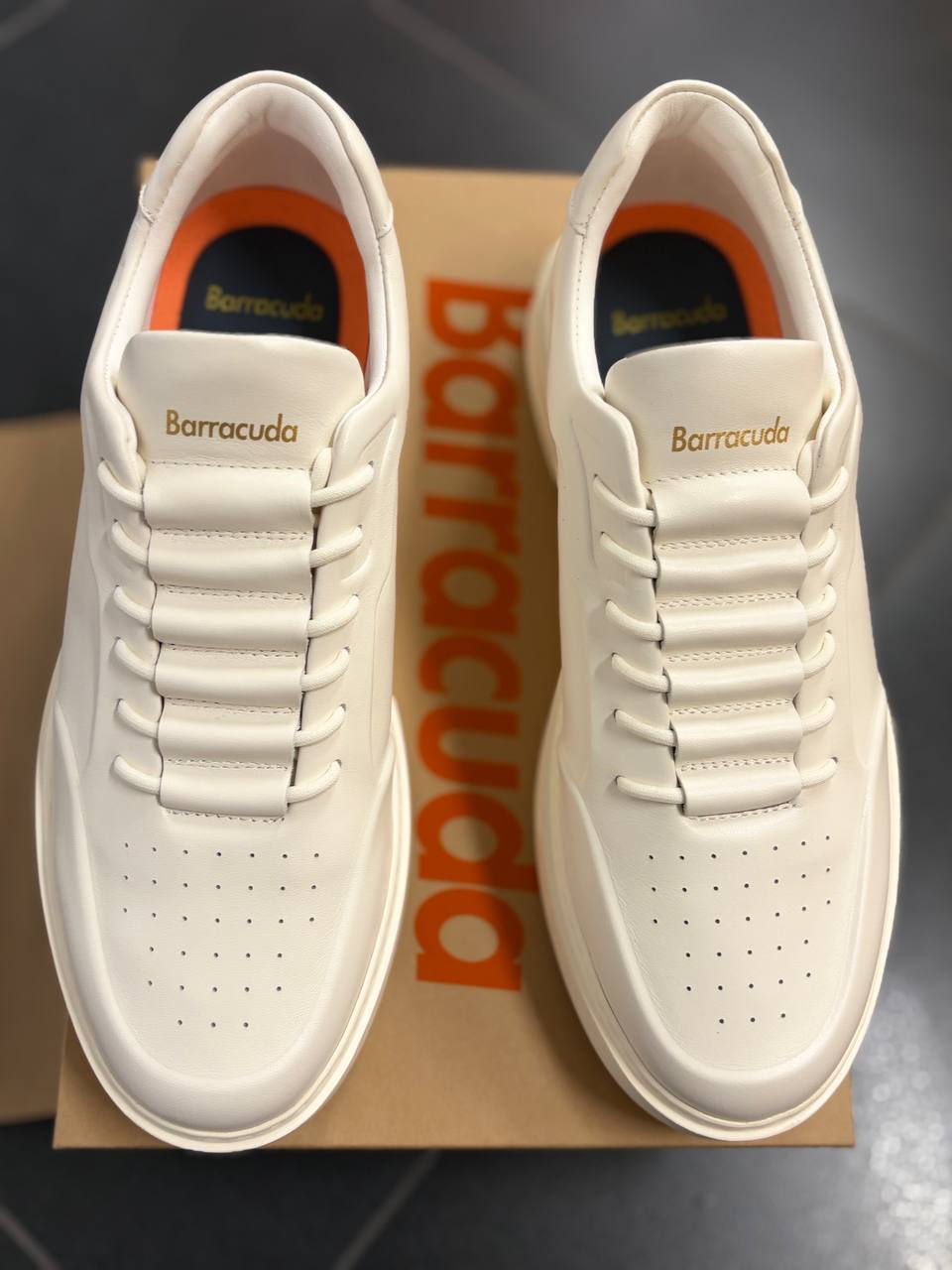 Фото Roberto Serpentini