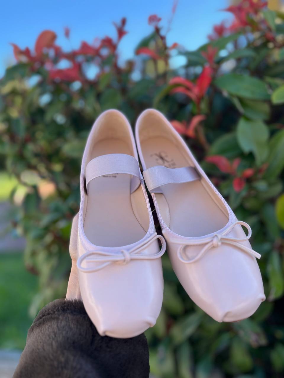 Фото Roberto Serpentini