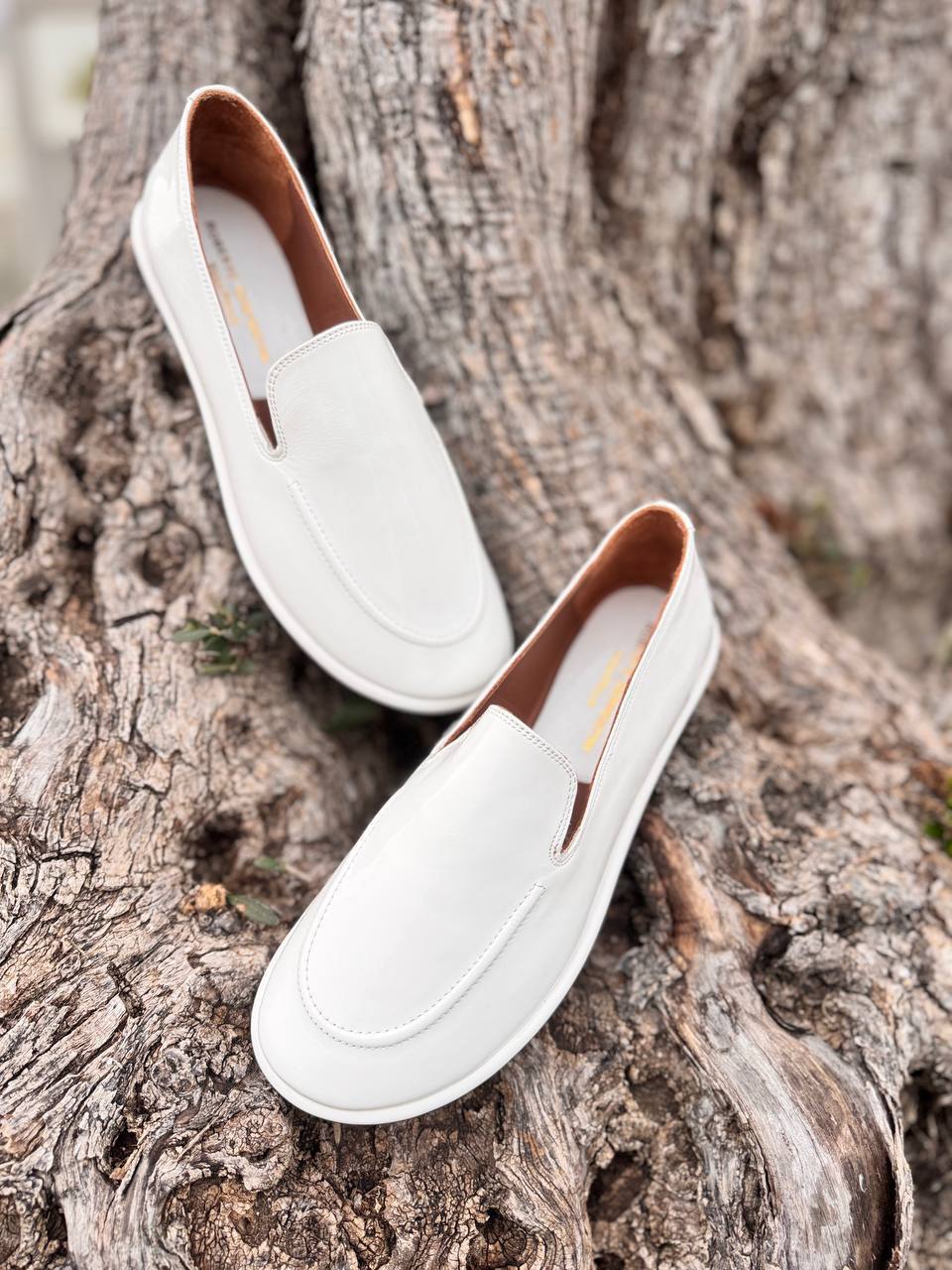 Фото Roberto Serpentini