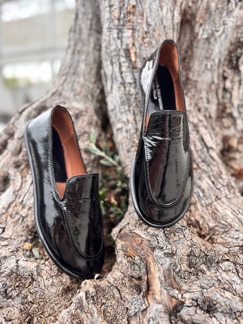 Фото Roberto Serpentini