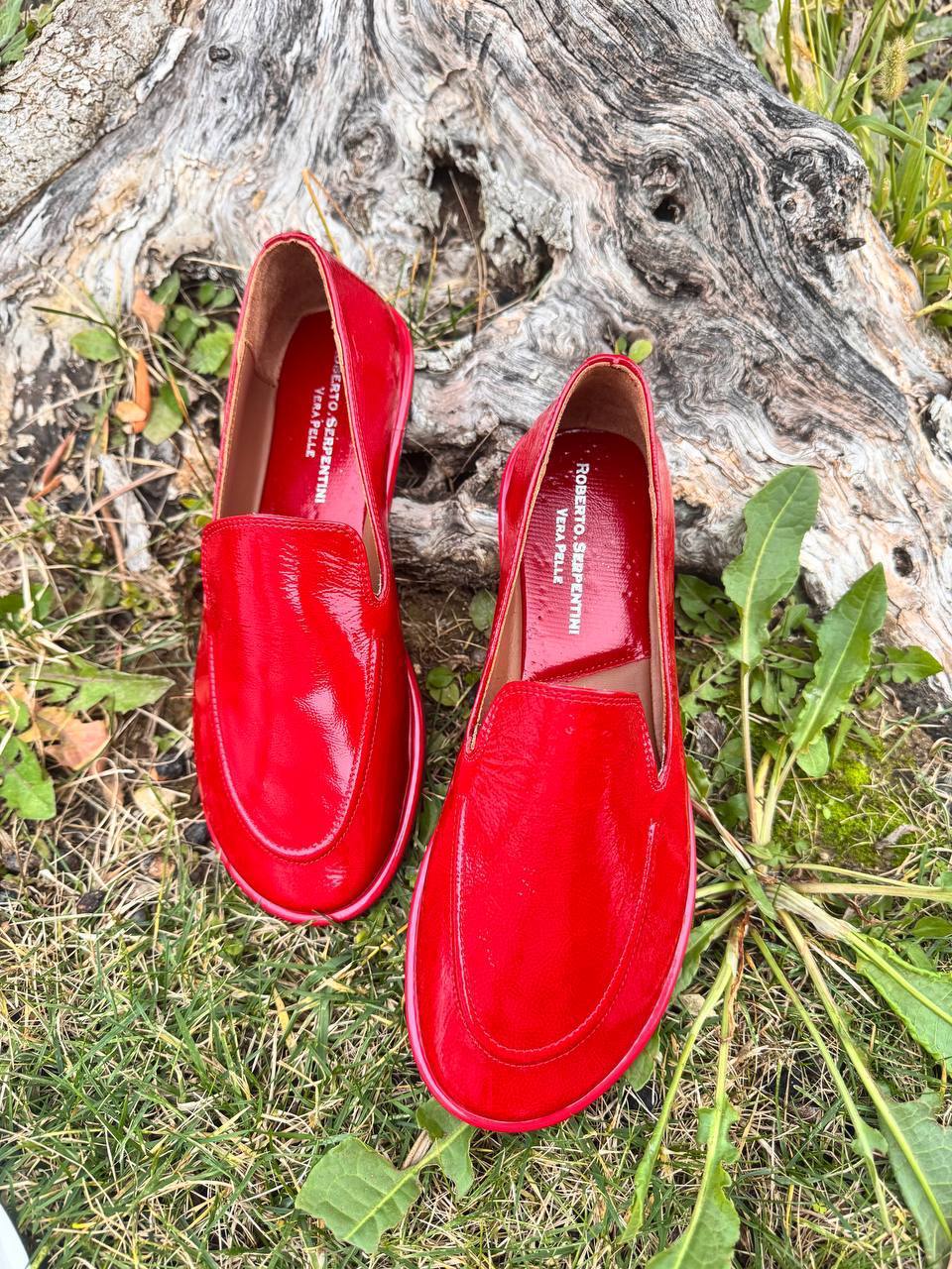 Фото Roberto Serpentini