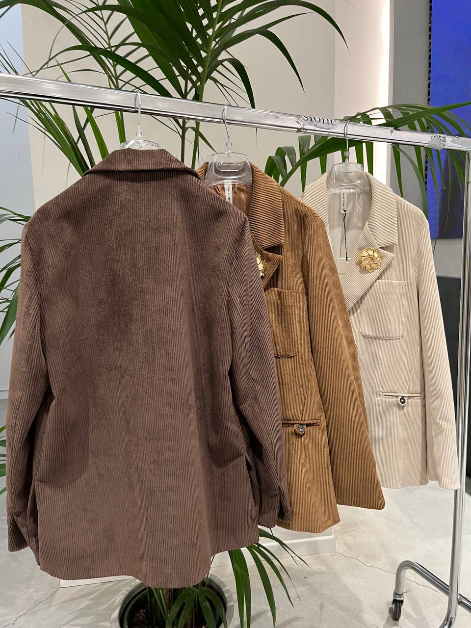 Фото Tensione in