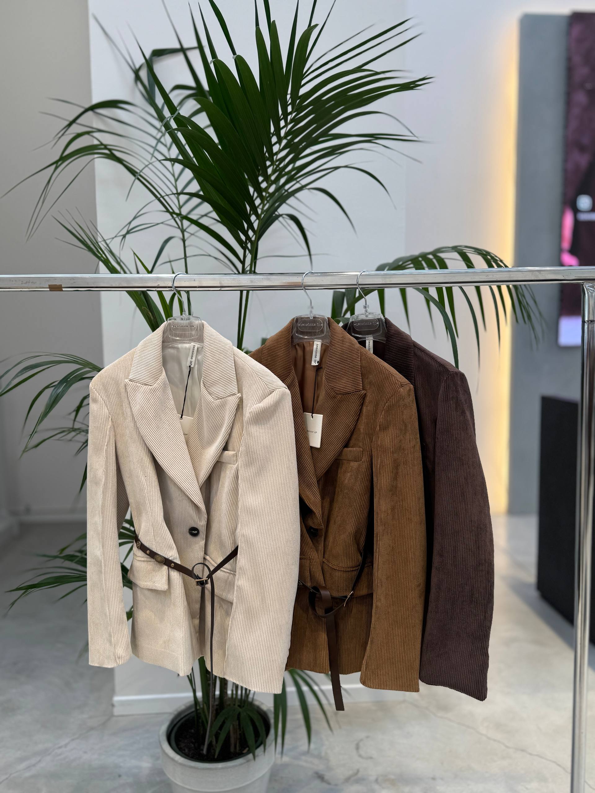 Фото Tensione in