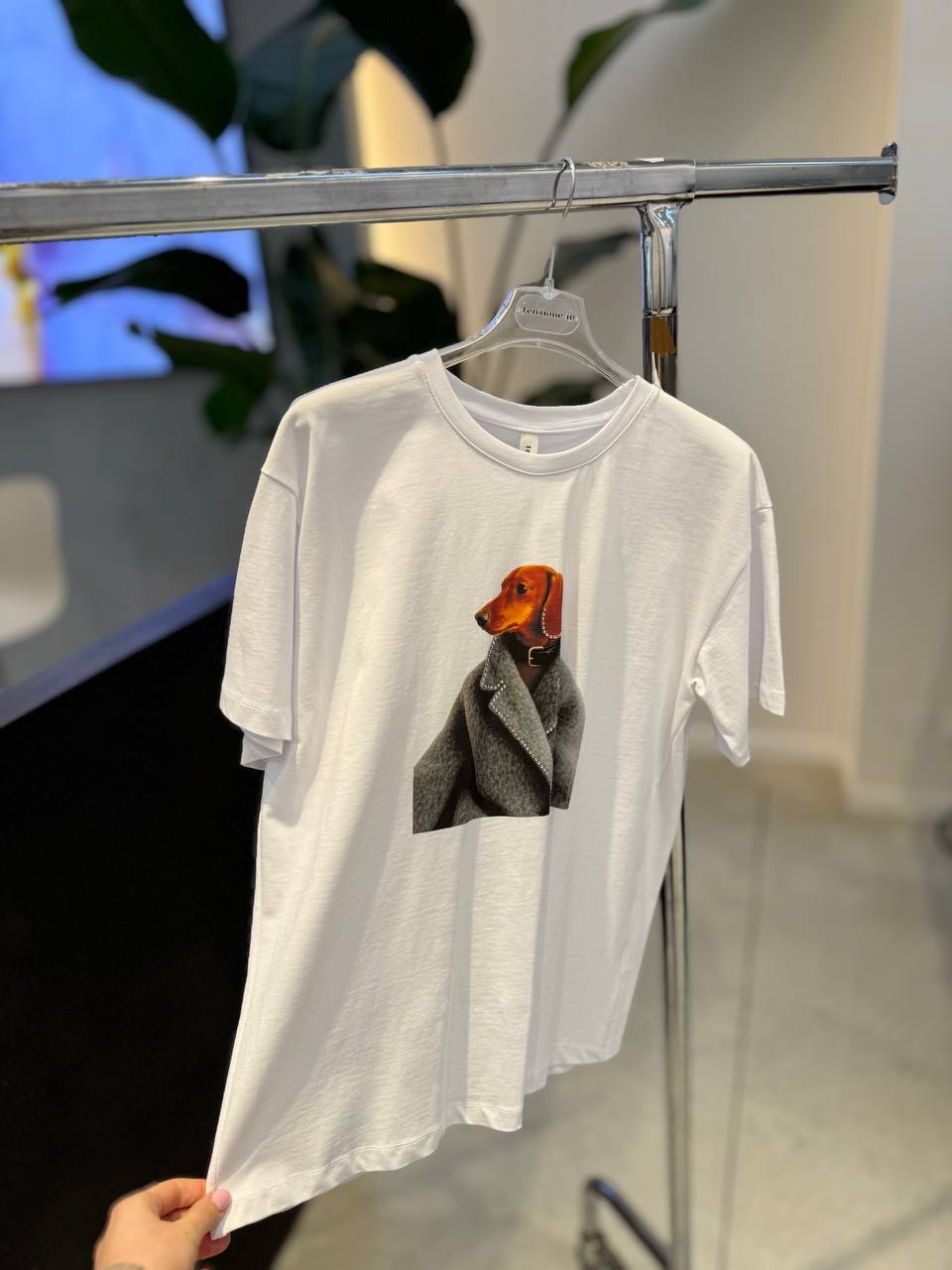 Фото Tensione in