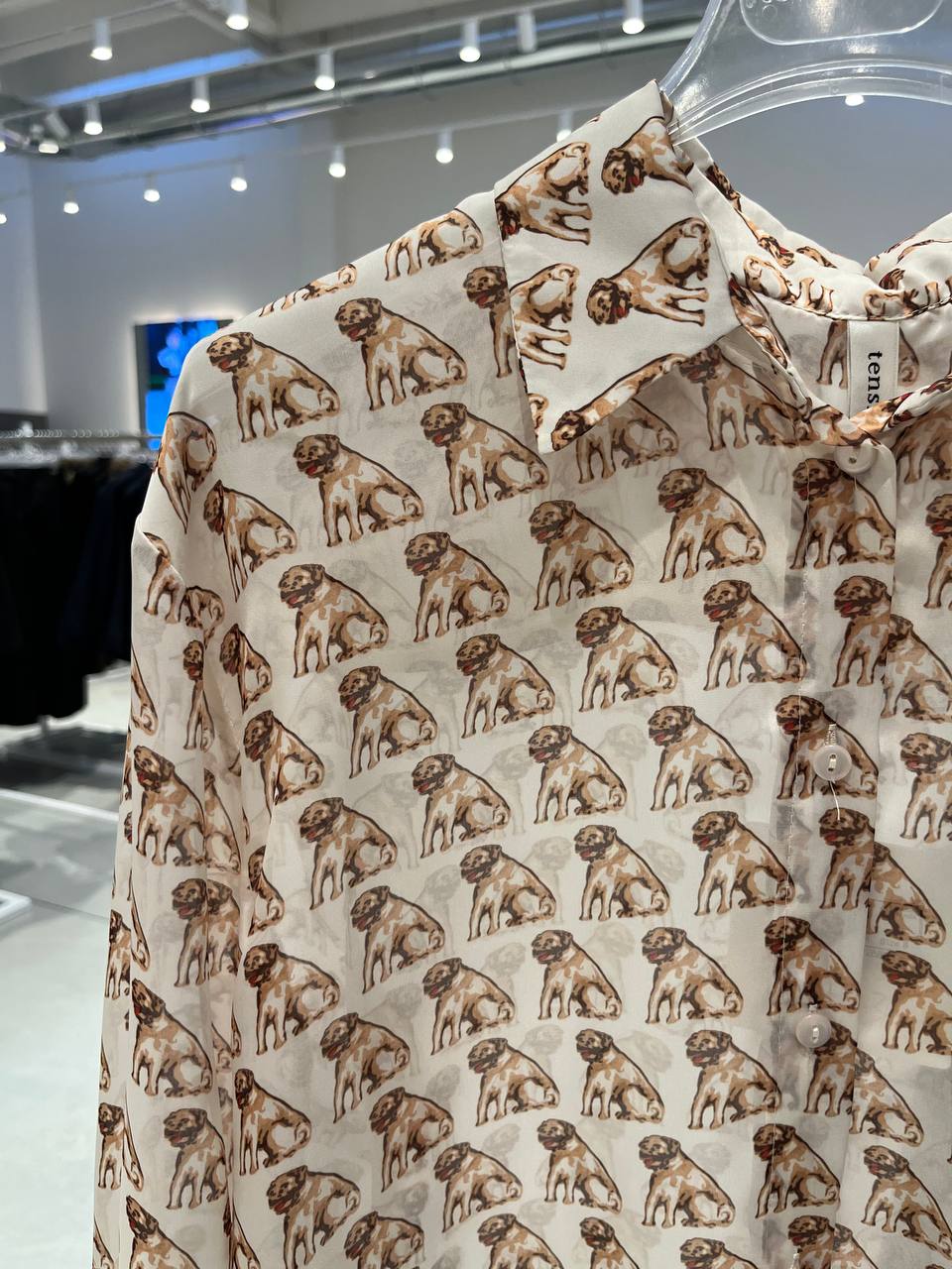 Фото Tensione in