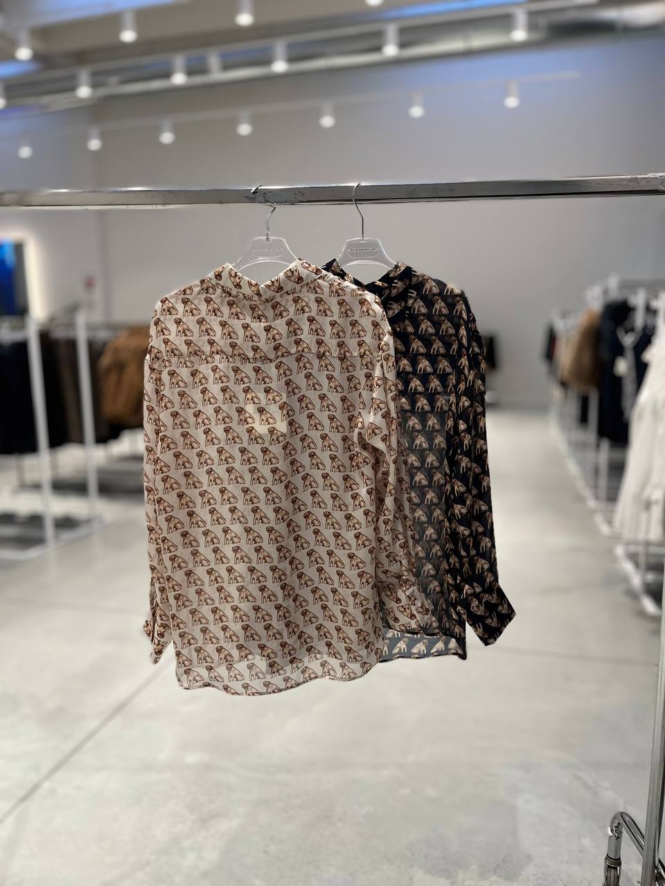 Фото Tensione in