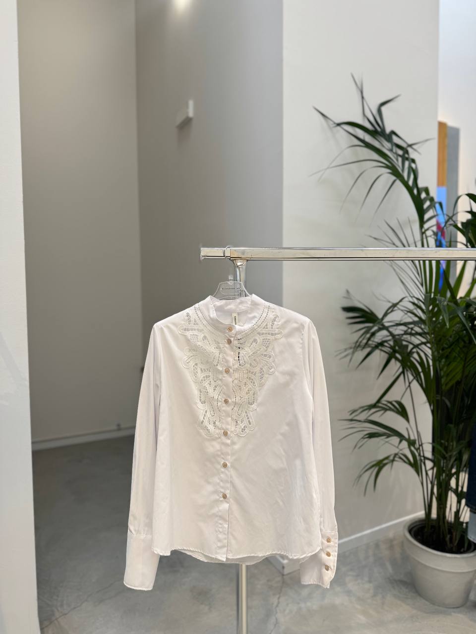 Фото Tensione in