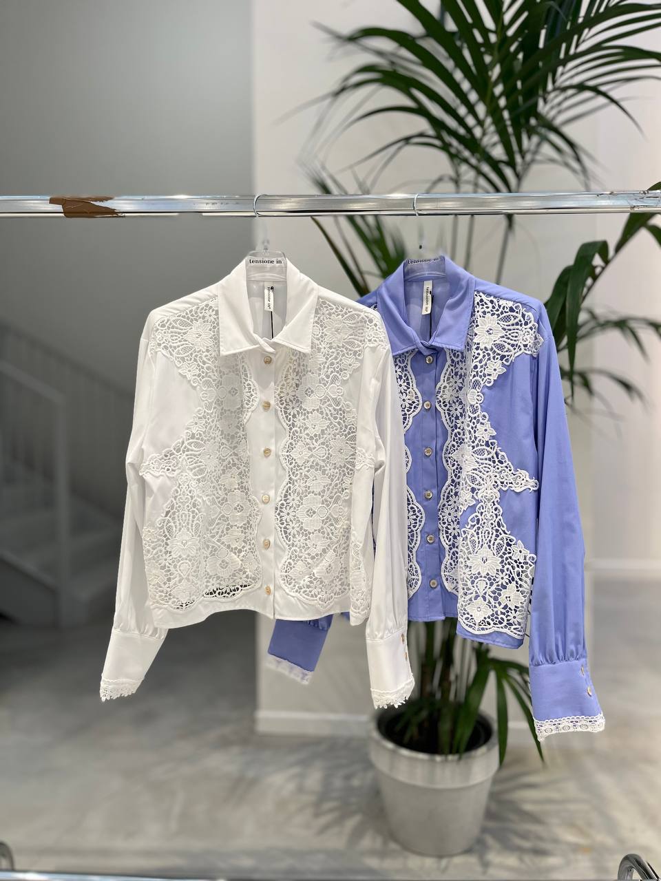 Фото Tensione in