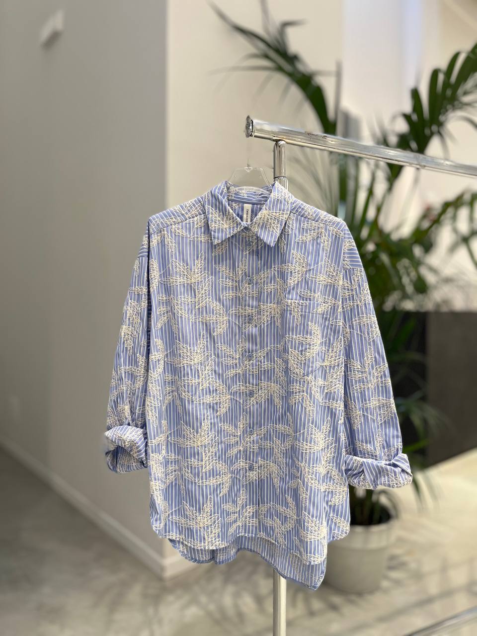 Фото Tensione in