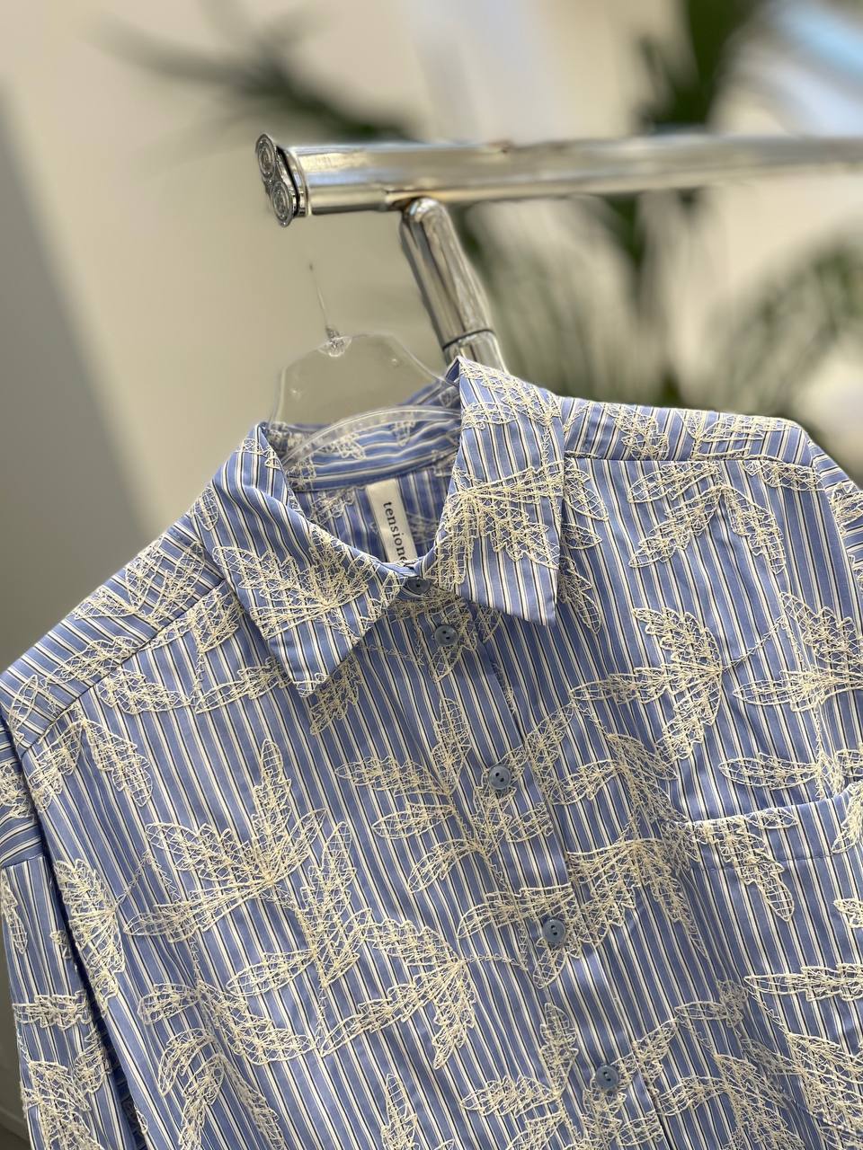 Фото Tensione in