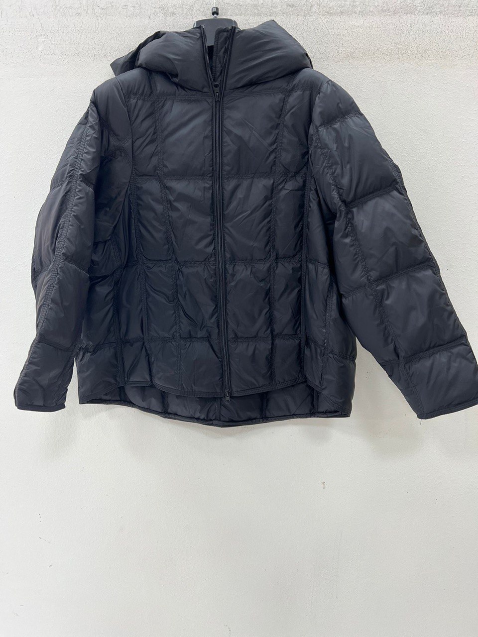 Фото Vanessa Scott