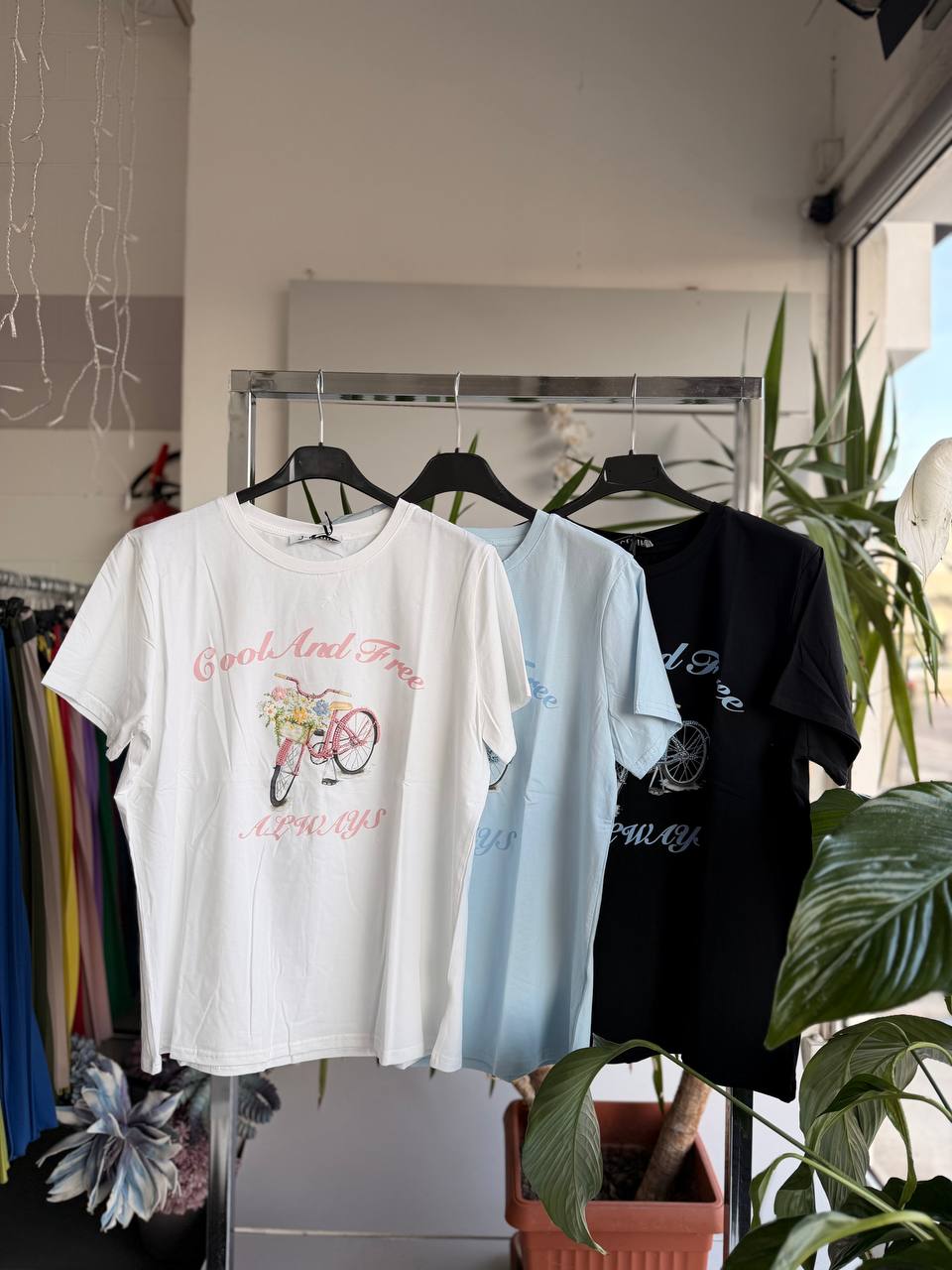 Фото Joie Clair (J-Clair)