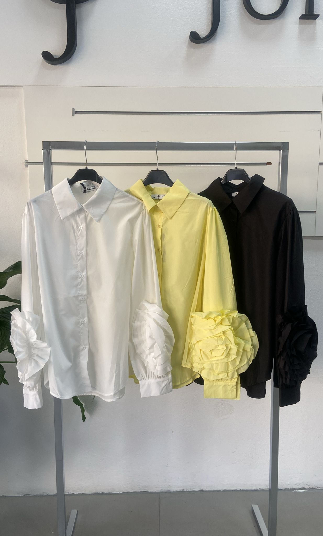 Фото Joie Clair (J-Clair)