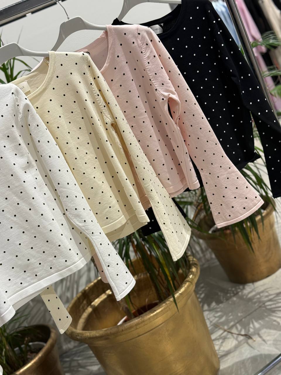 Фото Amelie Follies (Michelle)