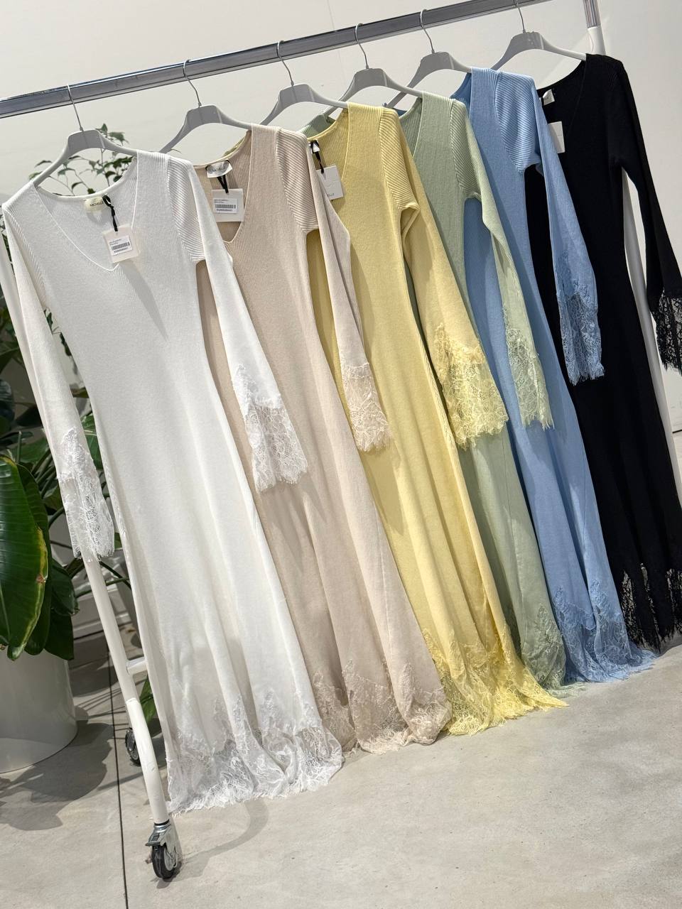 Фото Amelie Follies (Michelle)