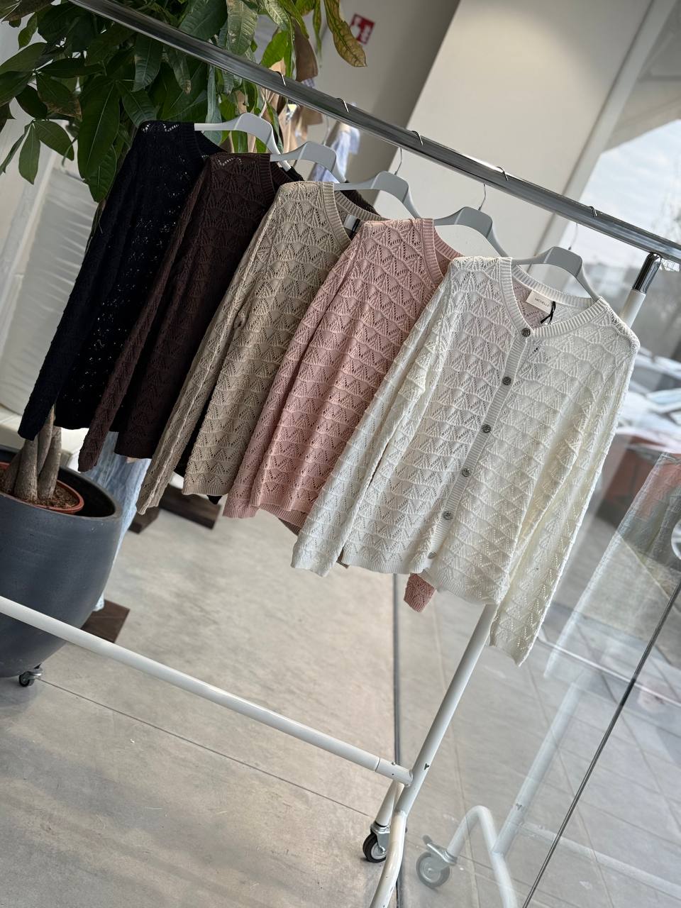 Фото Amelie Follies (Michelle)