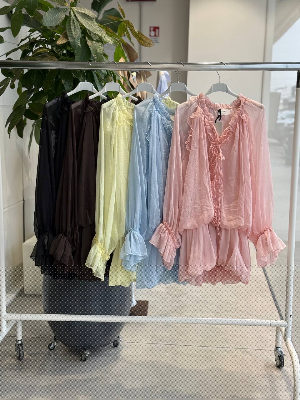 Фото Amelie Follies (Michelle)