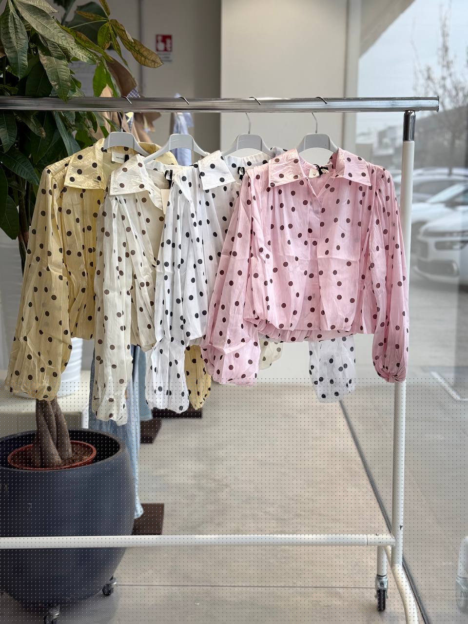 Фото Amelie Follies (Michelle)