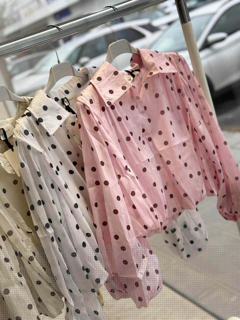 Фото Amelie Follies (Michelle)