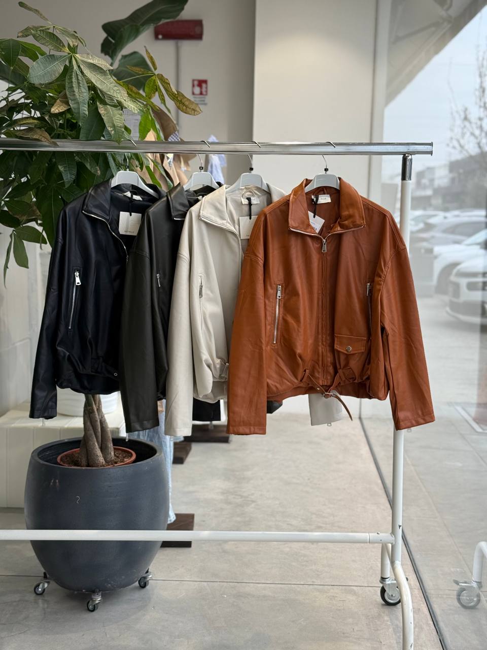 Фото Amelie Follies (Michelle)