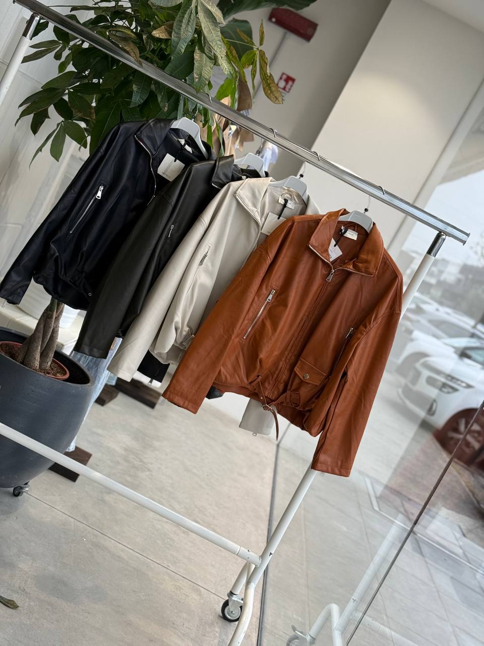 Фото Amelie Follies (Michelle)