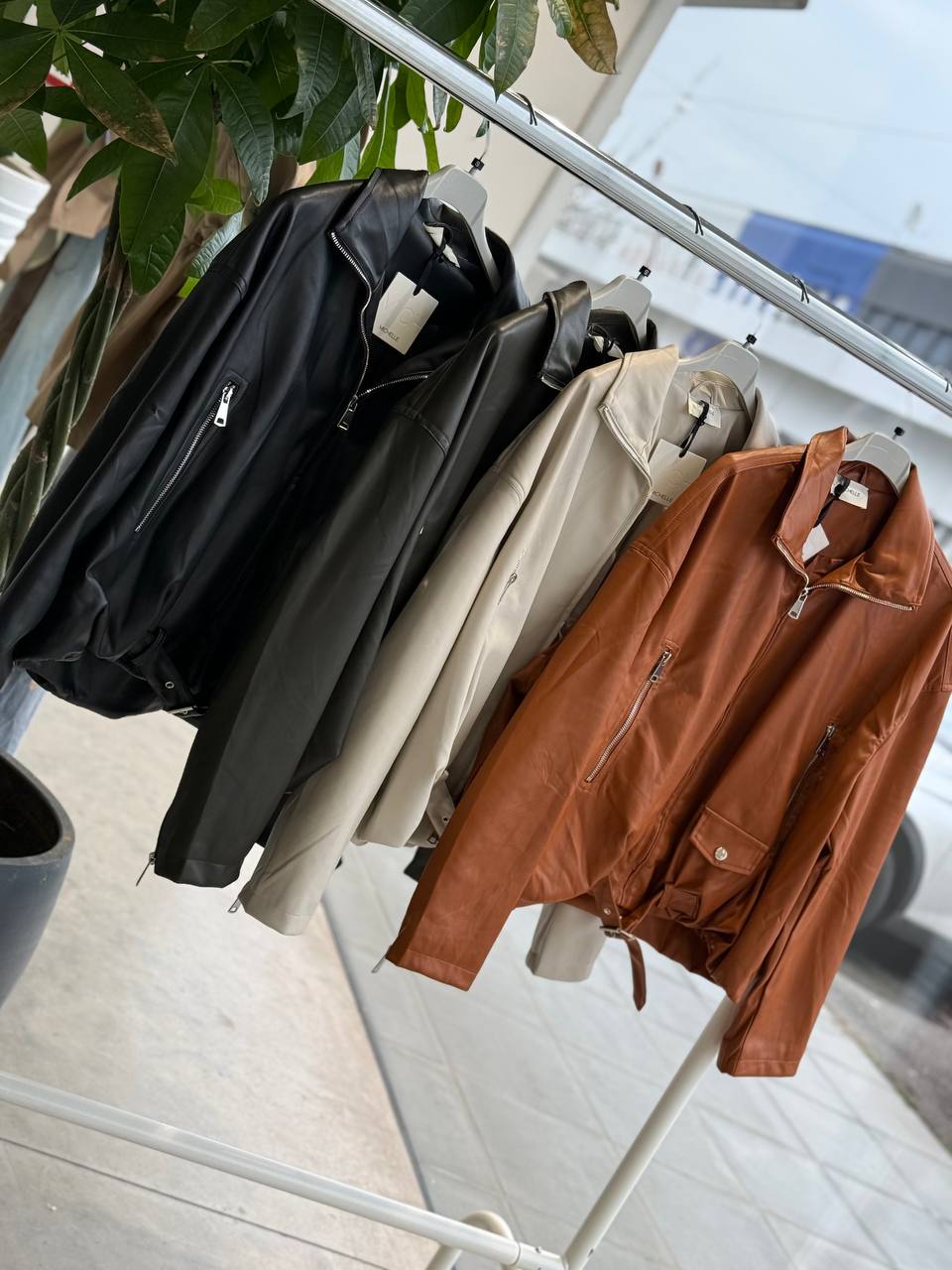 Фото Amelie Follies (Michelle)