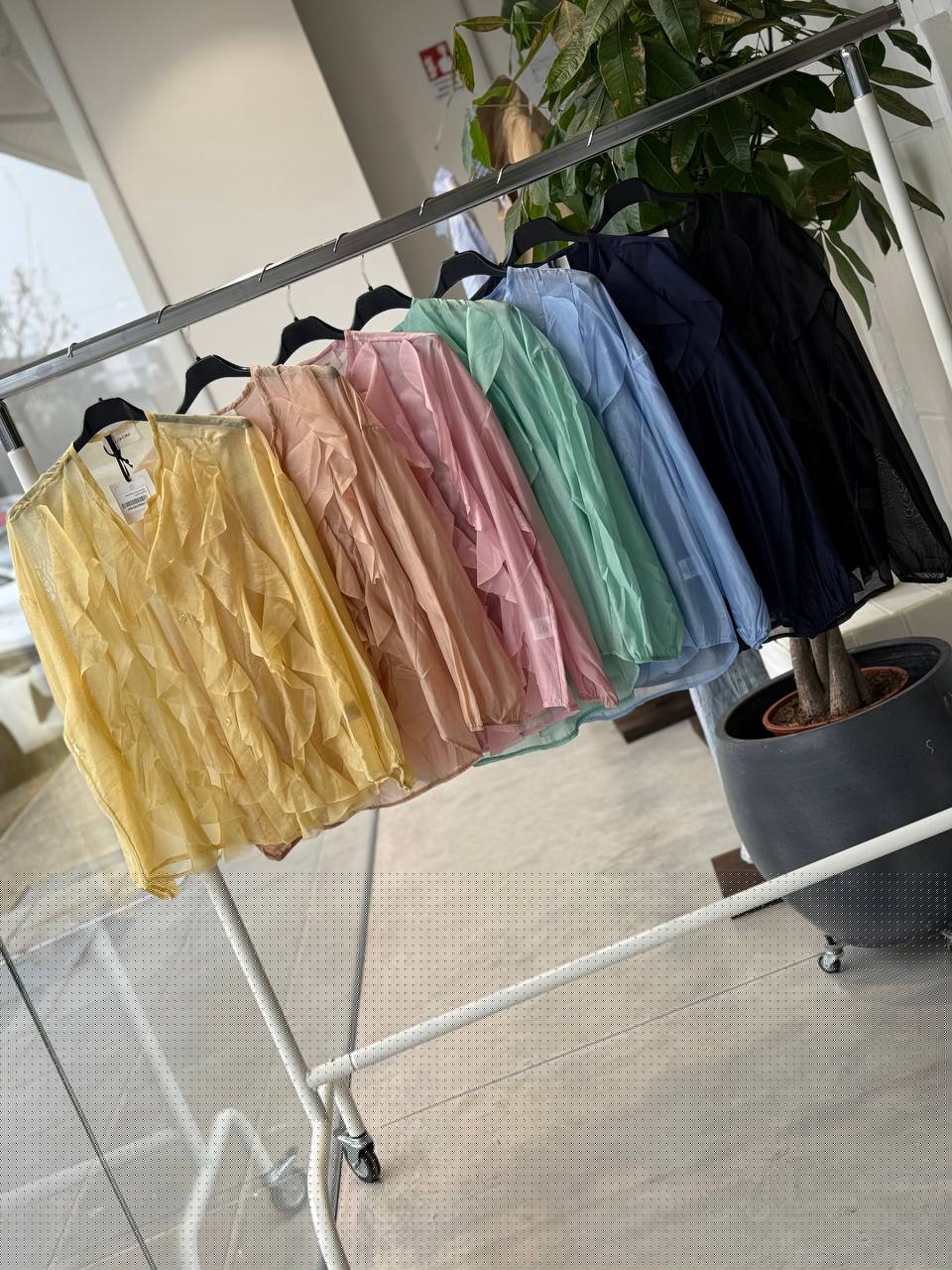 Фото Amelie Follies (Michelle)