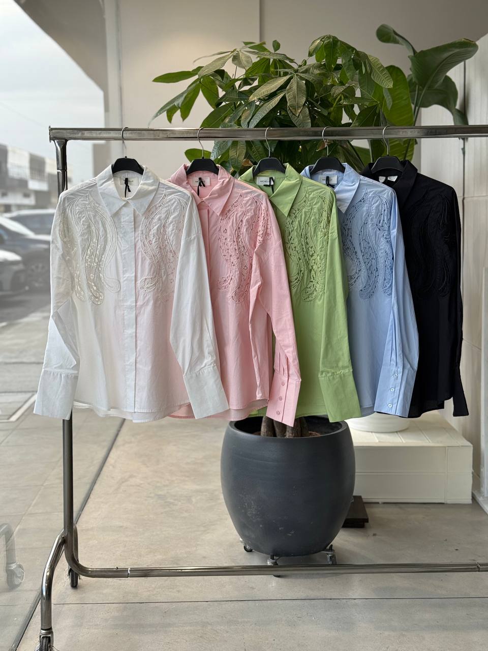 Фото Amelie Follies (Michelle)