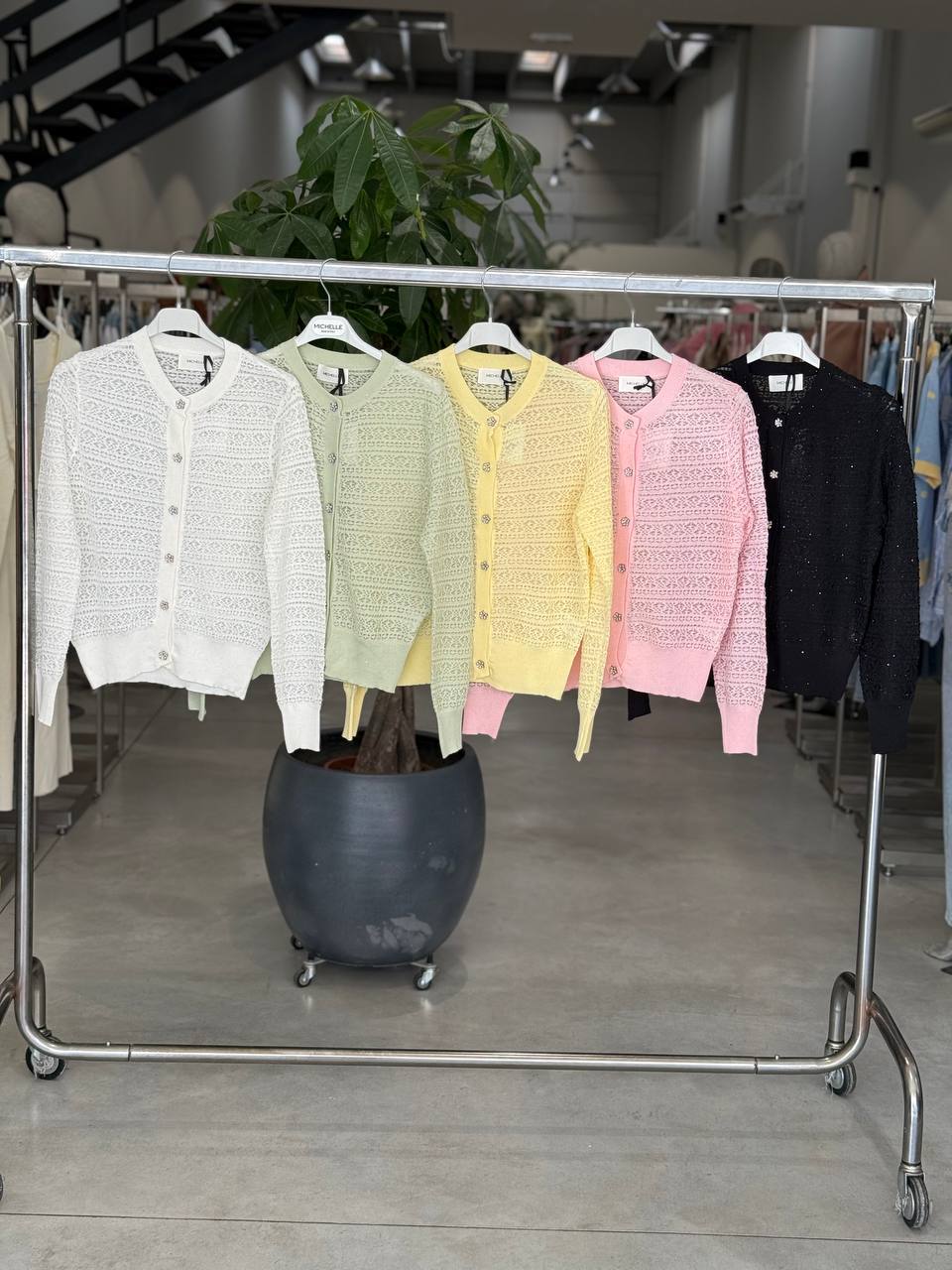 Фото Amelie Follies (Michelle)