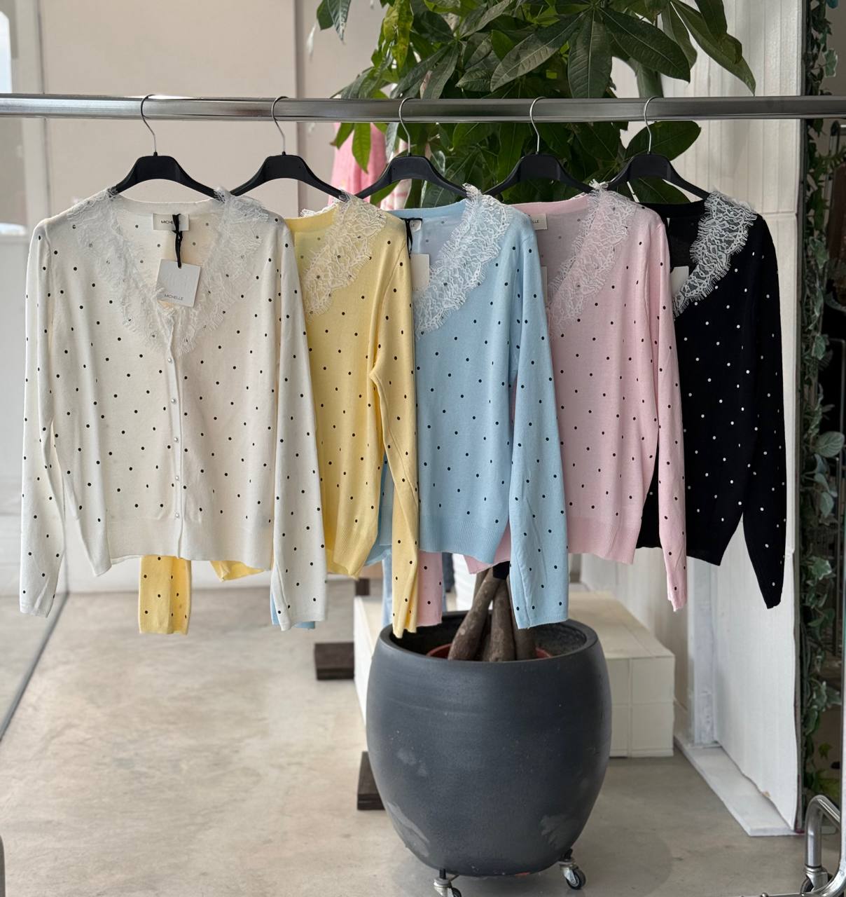 Фото Amelie Follies (Michelle)