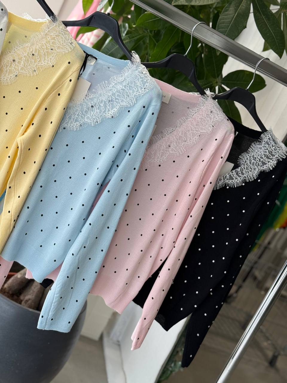 Фото Amelie Follies (Michelle)