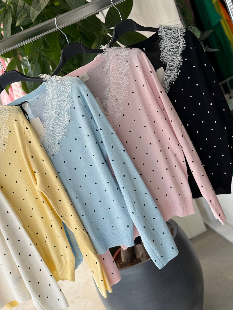 Фото Amelie Follies (Michelle)