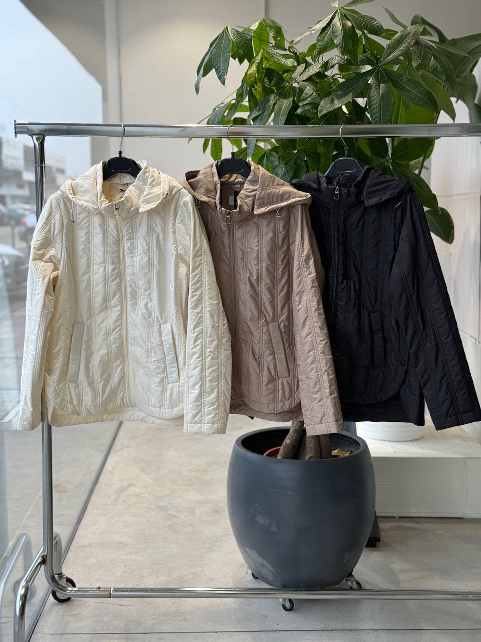 Фото Amelie Follies (Michelle)