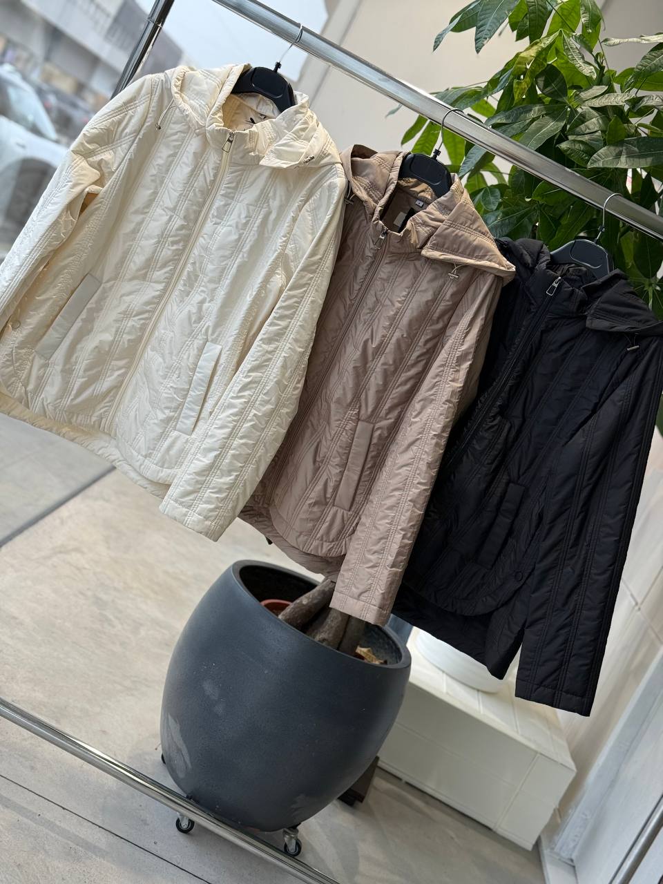 Фото Amelie Follies (Michelle)