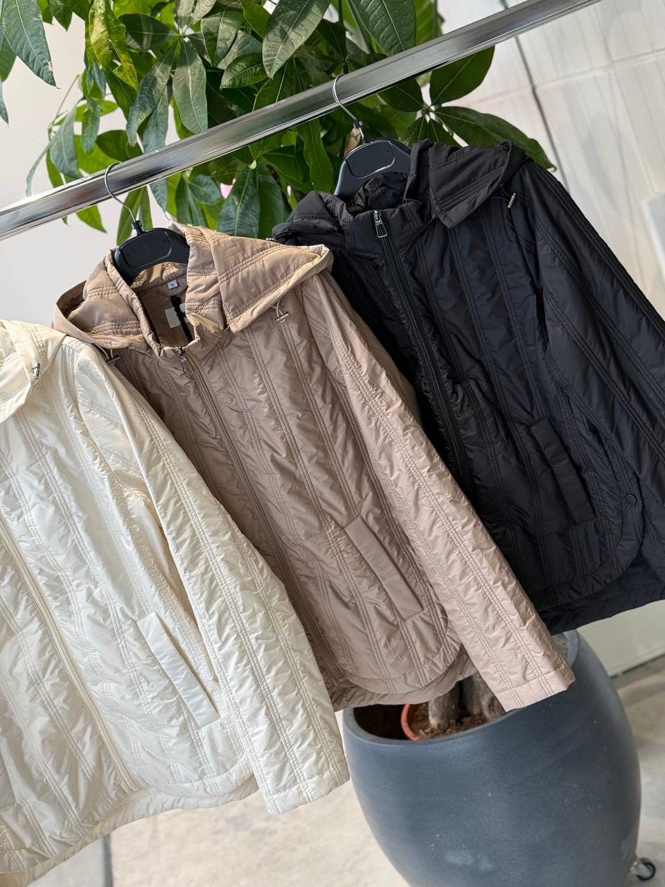 Фото Amelie Follies (Michelle)