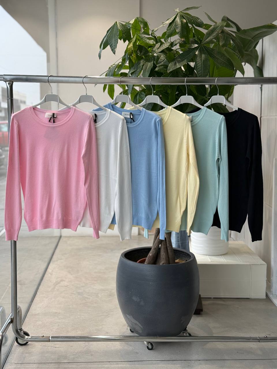 Фото Amelie Follies (Michelle)