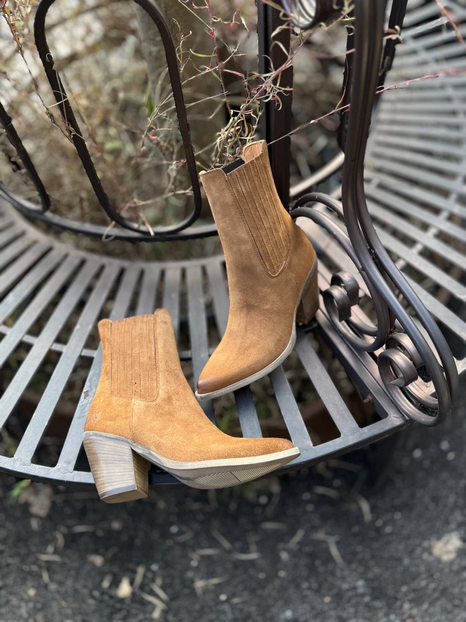 Фото Federica Lancioni