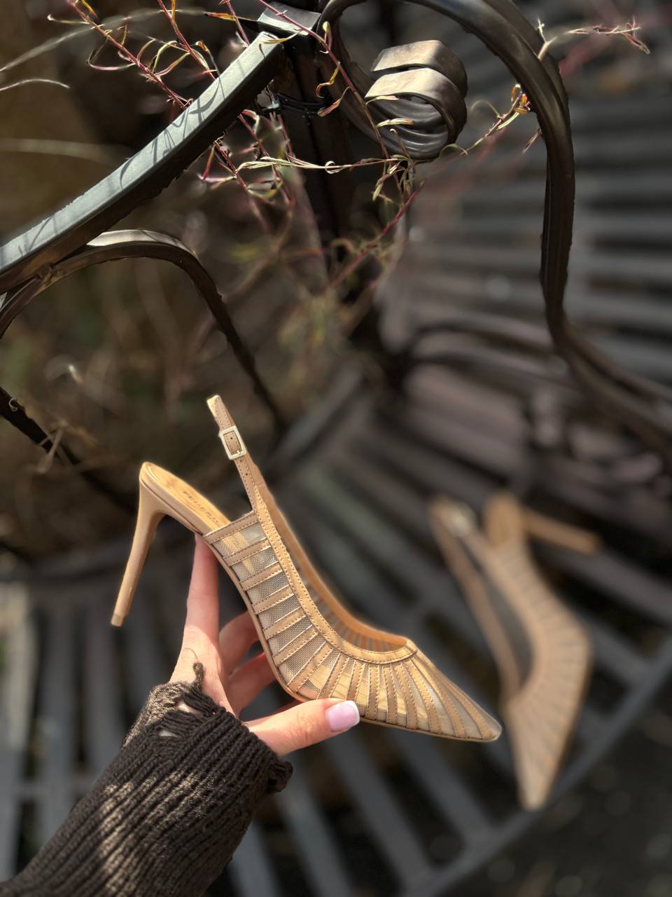 Фото Federica Lancioni