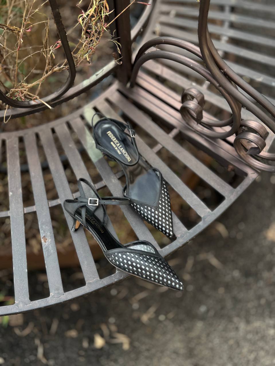 Фото Federica Lancioni