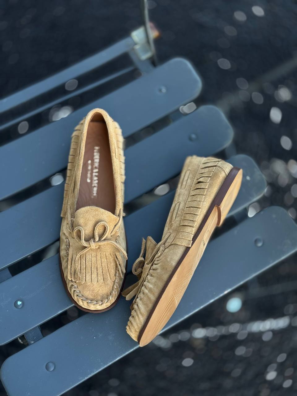 Фото Federica Lancioni