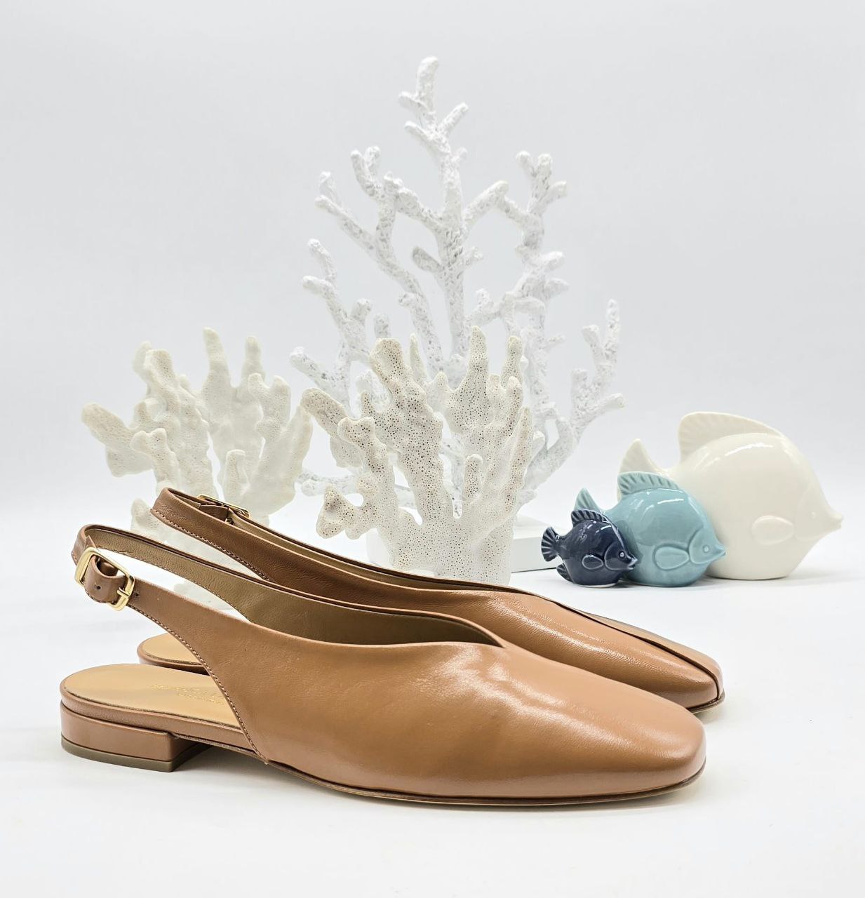 Фото Federica Lancioni