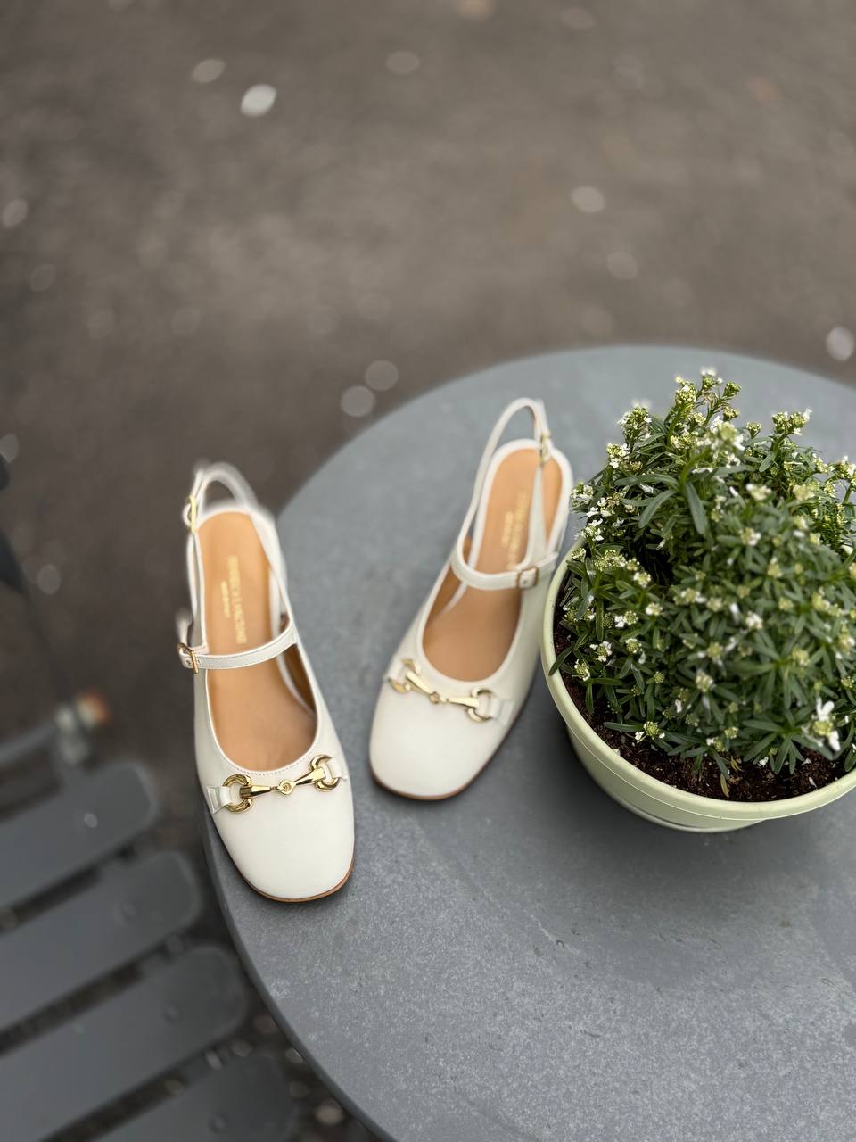 Фото Federica Lancioni